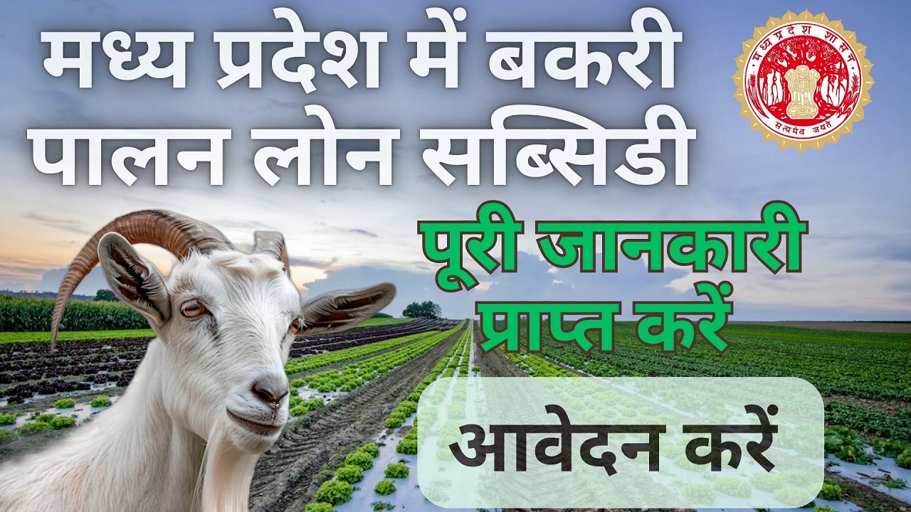 Goat Farming Loan Subsidy Madhya Pradesh