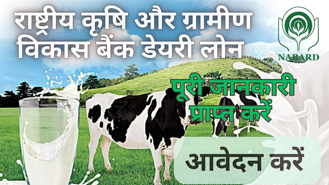 nabard dairy loan